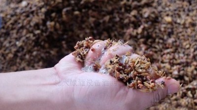用小型燒酒設(shè)備蒸酒時，酒醅含水量也會影響白酒口感和出酒率？