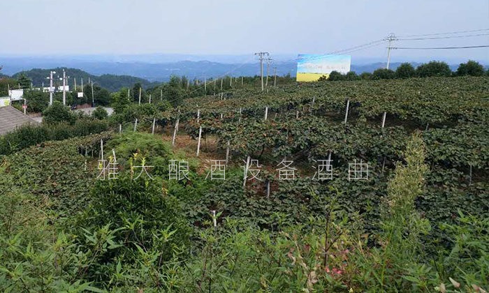 大學生村官創(chuàng)業(yè)園1