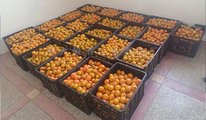 除當?shù)厝撕鹊母叨染仆猓€多元化經營水果酒