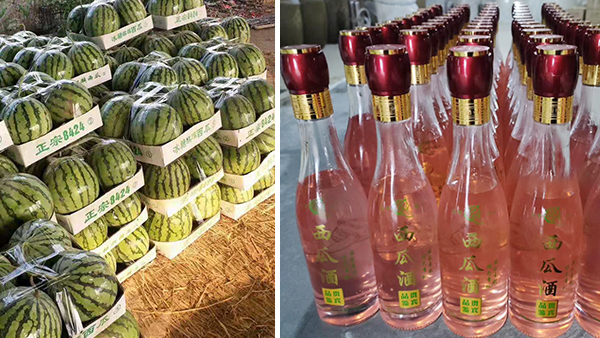 常大哥用不銹鋼釀酒設(shè)備做西瓜酒，“花樣”賺錢