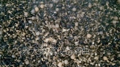 用小型酒廠釀酒設備做黑大麥酒，開家個性化的釀酒作坊！