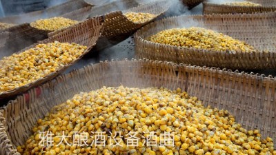 看過來，用玉米釀酒設(shè)備制作整料玉米酒的標準教程在這里！