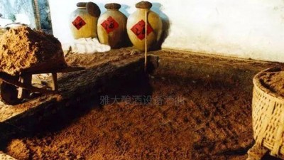 用高粱釀酒設(shè)備做濃香型白酒，酒好全憑窖池老！