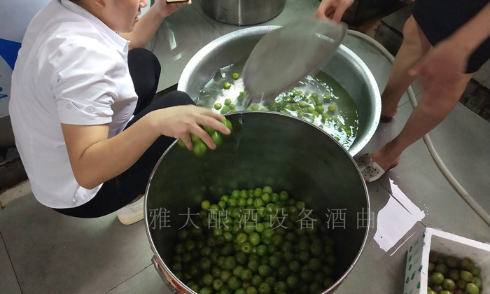 7.17李子釀酒技術-清洗