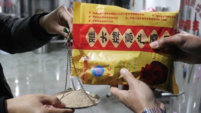 為了多出酒，100斤糧食多加1倍用量的酒曲，結(jié)果……