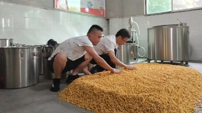 零基礎(chǔ)用做酒設(shè)備釀酒，必須要掌握糖化和酒化的6大要點(diǎn)！